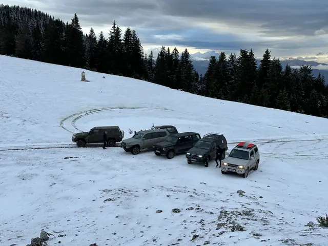 Četiri terenca na snježnoj čistini ispred šume