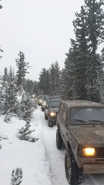 Duga kolona vozila na snježnom putu među četinarima