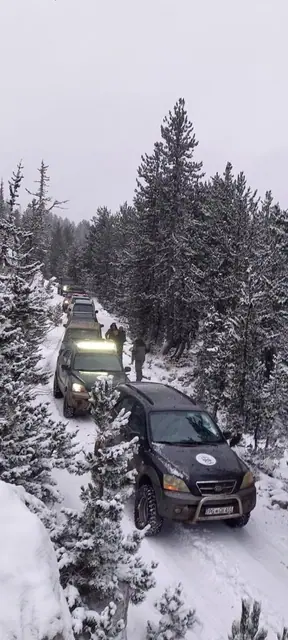 Kolona vozila na snježnom šumskom putu