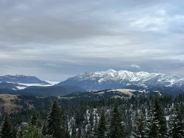 Panorama snježnih planina iznad šumskih obronaka
