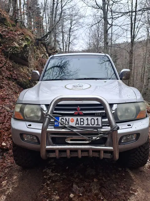 Terenac sa zaštitnim branikom na šumskom putu
